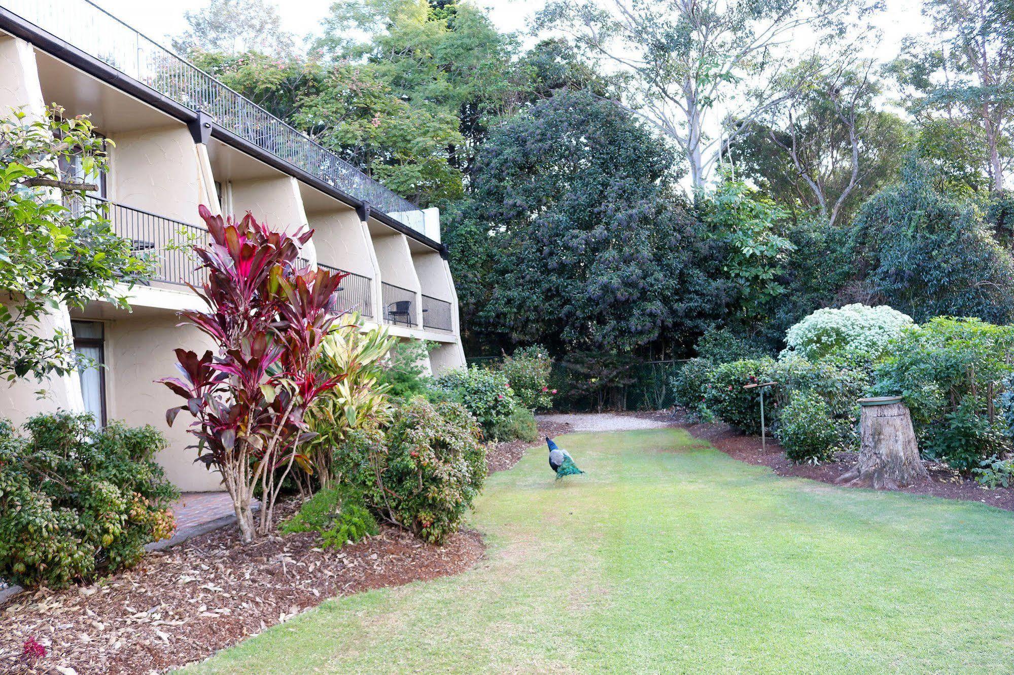 The Tamborine - Boutique Hotel Mount Tamborine Eksteriør bilde